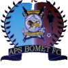 Team logo